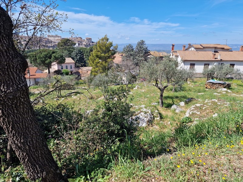 Terreno edificabile in Vendita a Lugnano in Teverina, 30'000€, 250 m²