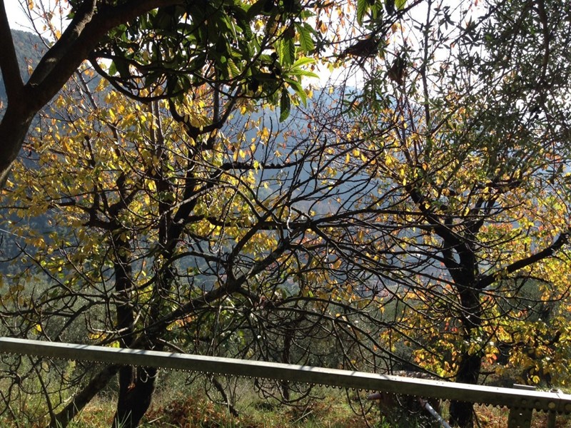 Casa Indipendente in Vendita a Pietrasanta, zona Valdicastello Carducci, 60 m²