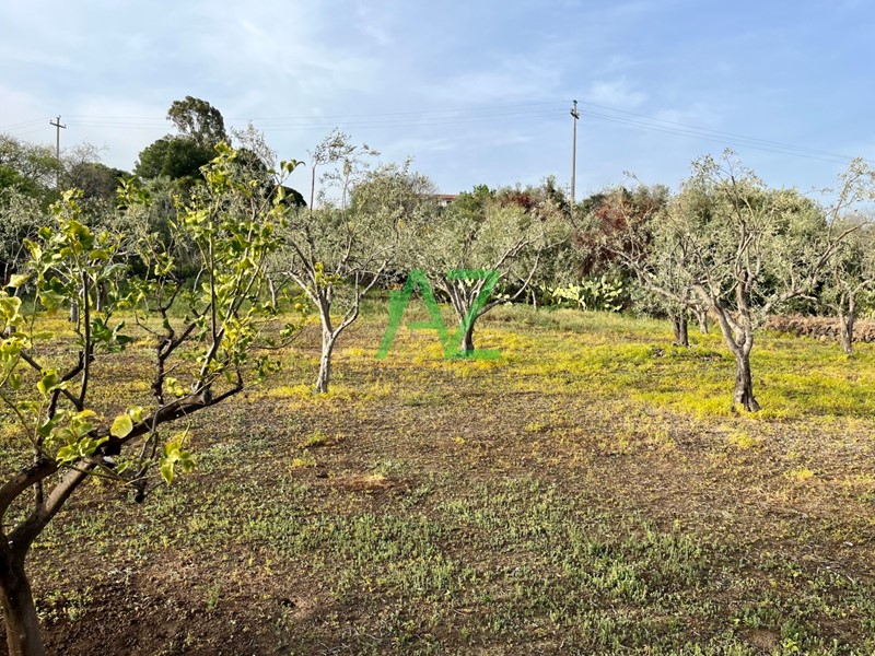 Terreno agricolo in Vendita a Belpasso, zona Zona Industriale, 59'000€, 7025 m²