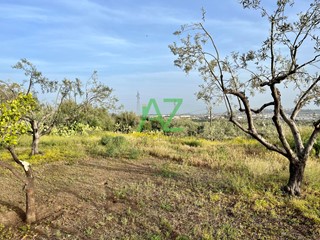 Terreno agricolo in Vendita a Belpasso, zona Zona Industriale, 59'000€, 7025 m²