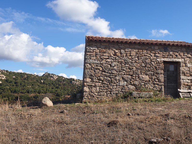 Terreno agricolo in Vendita a Aggius, 250'000€, 47 ettari
