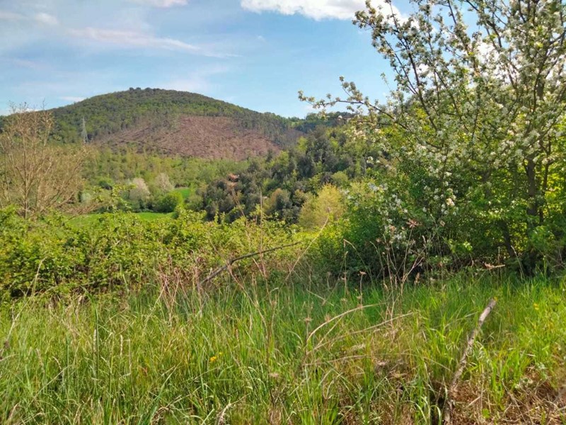 Terreno agricolo in Vendita a Amelia, 45'000€, 34800 m²