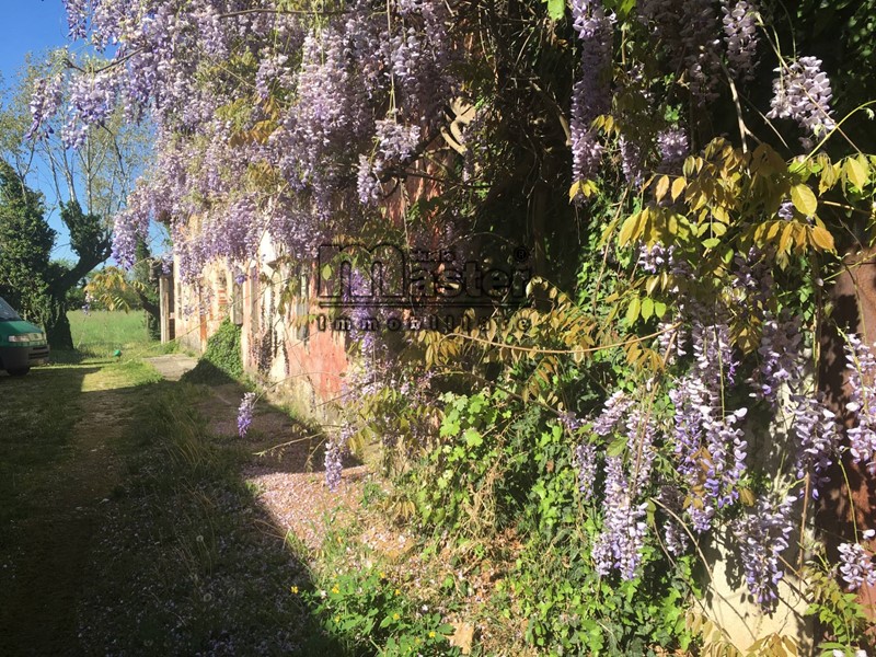 Rustico in Vendita a Treviso, zona Monigo, 110'000€, 300 m²