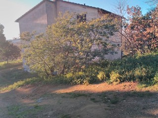 Attività commerciale in Vendita a Grosseto, zona Istia D'ombrone, 390'000€, 150000 m²