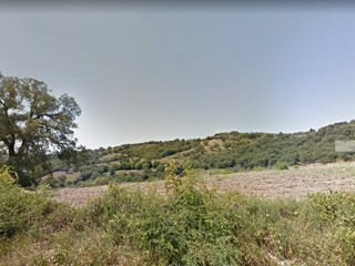 Attività commerciale in Vendita a Capalbio, 570'000€, 80000 m²