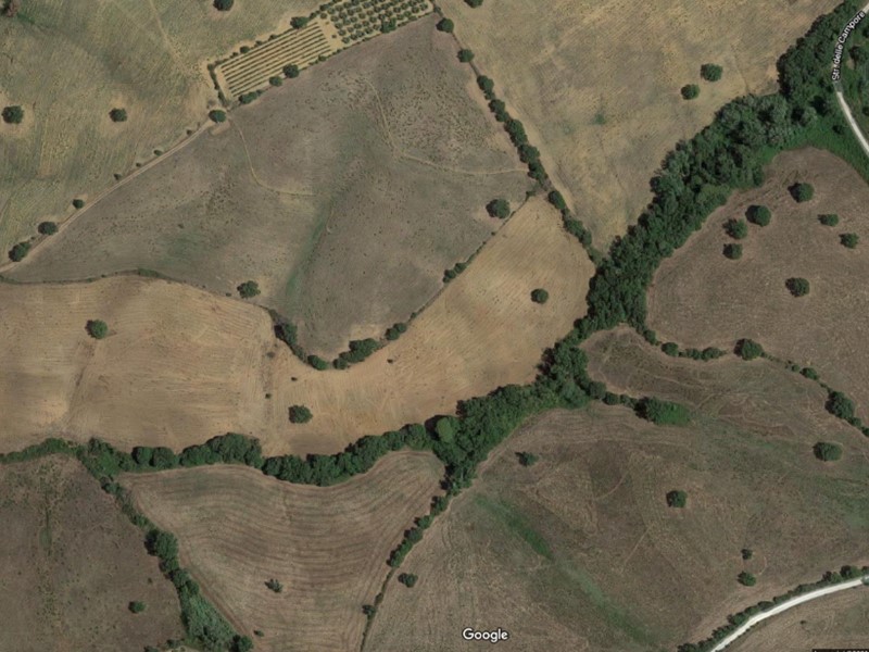 Terreno agricolo in Vendita a Grosseto, 85'000€, 58610 m²