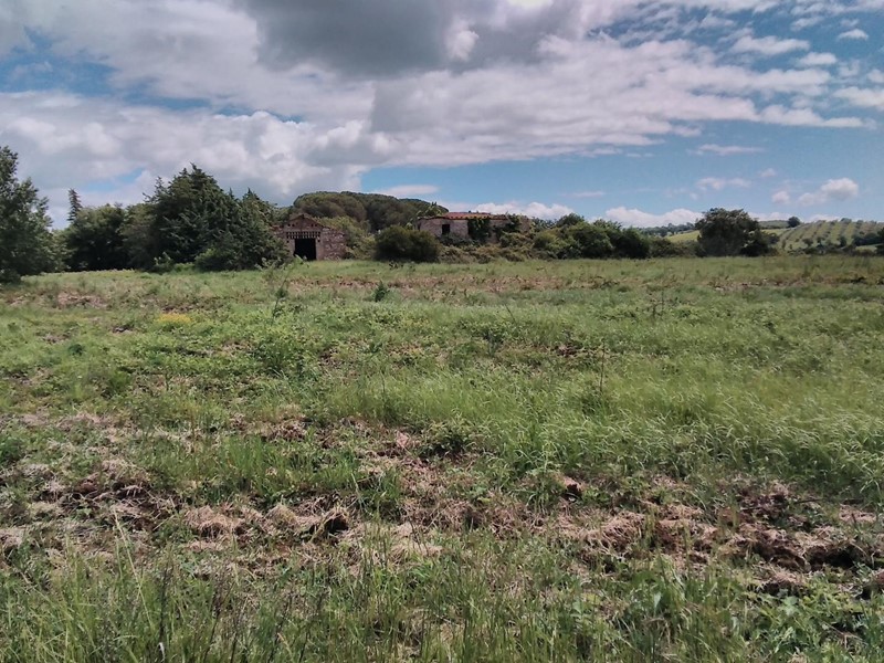 Attività commerciale in Vendita a Scansano, zona Cerreto Piano, 900'000€, 423120 m²