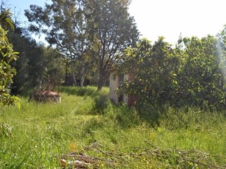 Casa Indipendente in Vendita a Santa Maria a Monte, zona Pregiuntino, 200'000€, 130 m², con Box