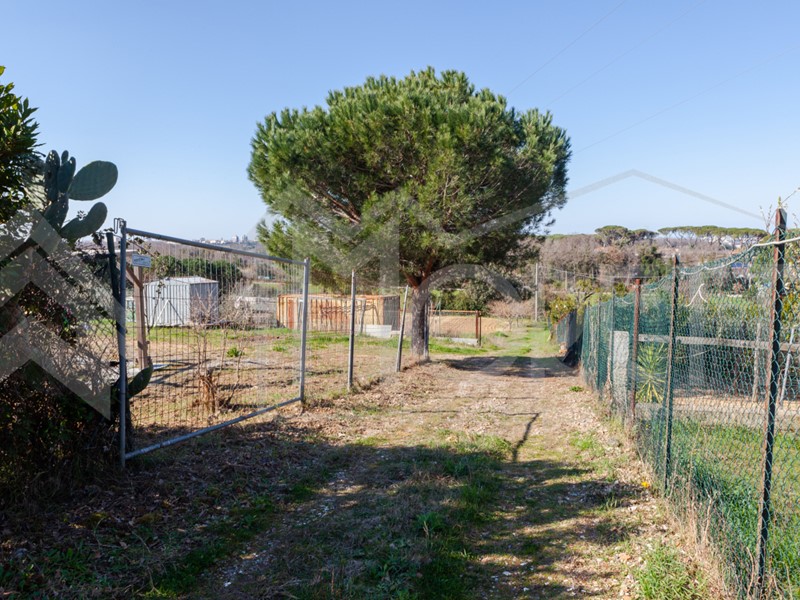 Terreno agricolo in Vendita a Livorno, zona PORTA A TERRA, PADULA, CISTERNINO, LIMONCINO, VALLE BENEDETTA, 55'000€, 4070 m²