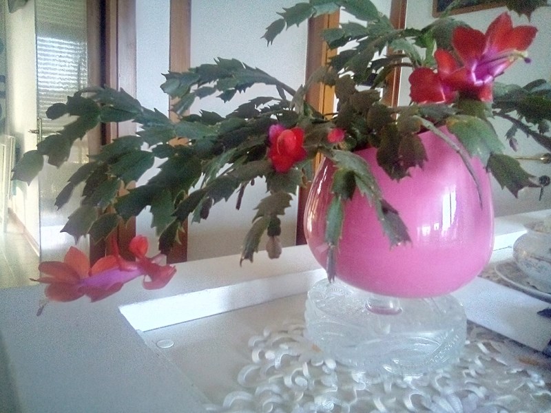 Bilocale in Affitto a Civitanova Marche, zona Lungomare Nord, 1'900€, 50 m², arredato