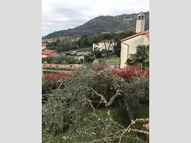 Casa Indipendente in Vendita a Carrara, 415'000€, 200 m², arredato