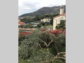 Casa Indipendente in Vendita a Carrara, 415'000€, 200 m², arredato