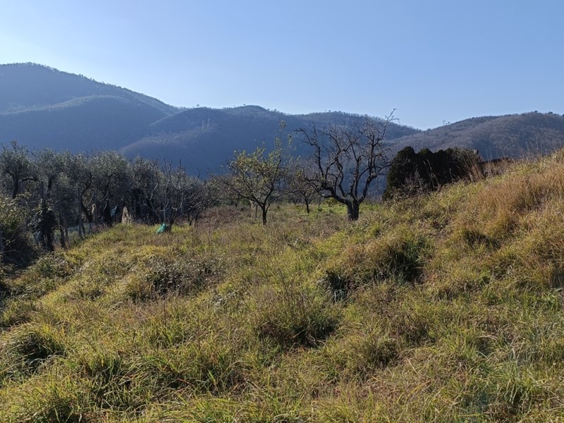 Casa Indipendente in Vendita a Varazze, zona Pero, 230'000€, 200 m²