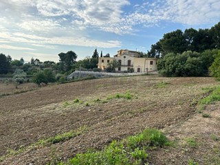 Terreno agricolo in Vendita a Caltanissetta, 35'000€, 4100 m²