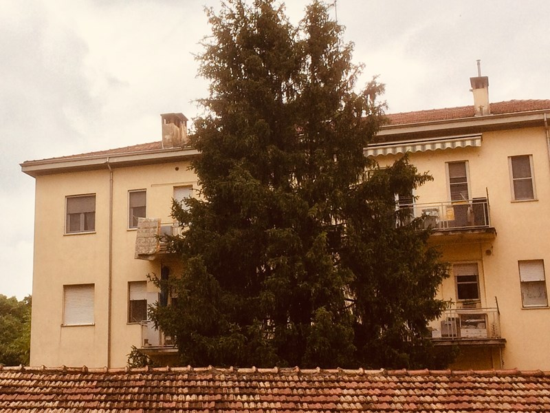 Appartamento in Vendita a Parma, zona CITTADELLA, 230'000€, 100 MQ
