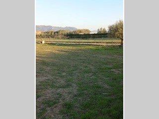Terreno agricolo in Vendita a Pietrasanta, zona pietrasanta, 89'000€, 3570 m²