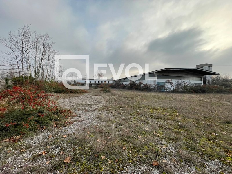Capannone in Vendita a Basiliano, 272'000€, 11200 m²