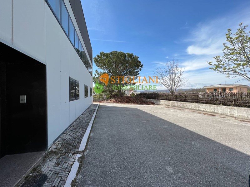 Capannone in Affitto a Campobasso, zona Colle delle Alpi, 6'500€, 925 m²