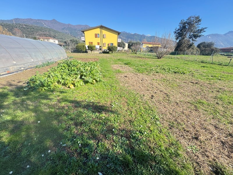 Terreno agricolo in Vendita a Pietrasanta, zona pietrasanta, 65'000€, 1525 m²