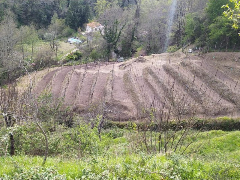 Terreno agricolo in Vendita a Aulla, 9'000€, 3000 m²