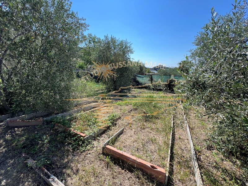 Terreno agricolo in Vendita a Sanremo, zona Bussana, 29'000€, 1800 m²
