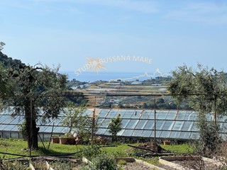 Terreno agricolo in Vendita a Sanremo, zona Bussana, 29'000€, 1800 m²