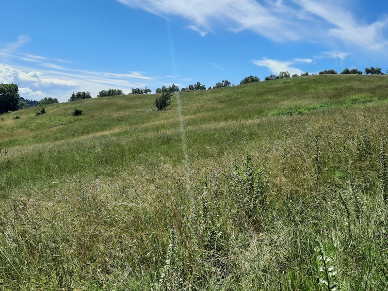 Terreno agricolo in Vendita a Morlupo, 80'000&euro;, 31000 m²