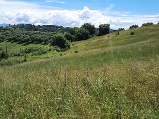 Terreno agricolo in Vendita a Morlupo, 80'000&euro;, 31000 m²