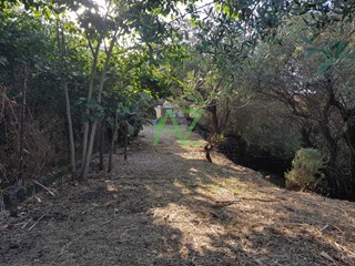 Terreno edificabile in Vendita a Acireale, zona San Giovanni Bosco, 29'000€, 480 m²