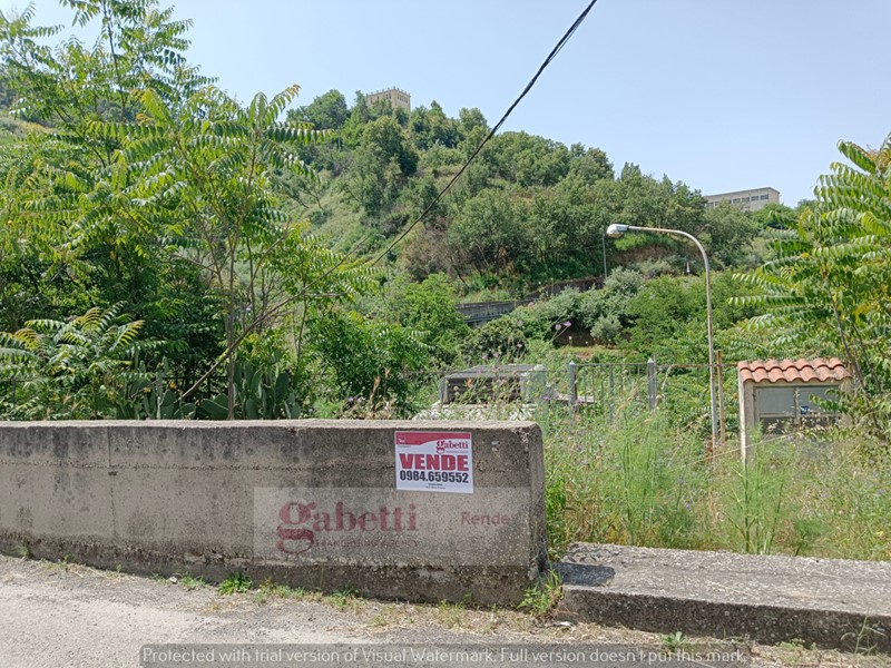 Terreno agricolo in Vendita a Castiglione Cosentino, 90'000€, 1520 m²