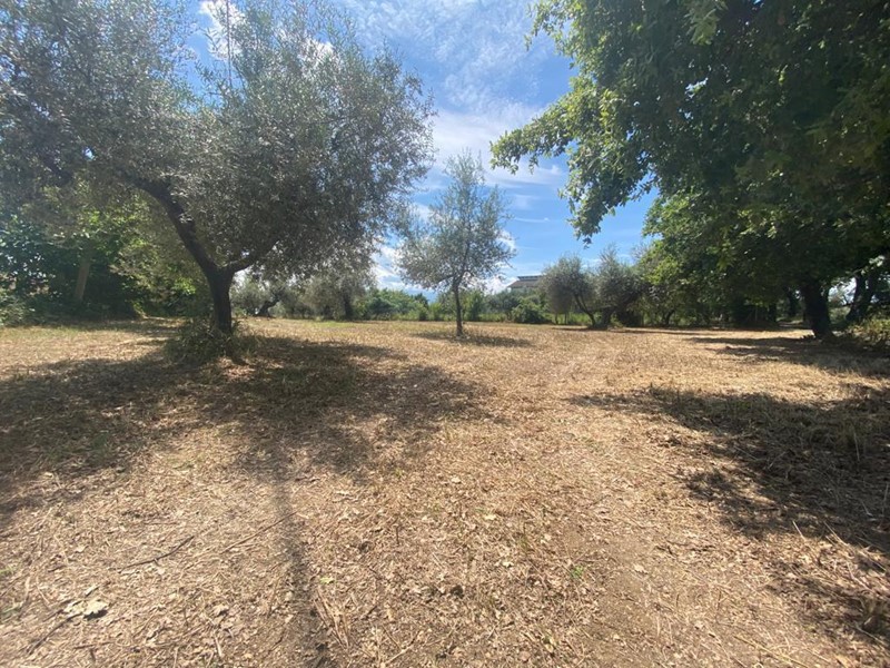 Terreno industriale in Vendita a Cepagatti, 85'000€, 1150 m²