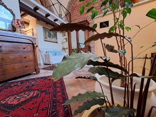 Quadrilocale in Vendita a Carrara, 252'000€, 145 m²