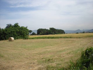 Terreno agricolo in Vendita a Capannori, zona Gragnano, 130'000€, 30000 m²