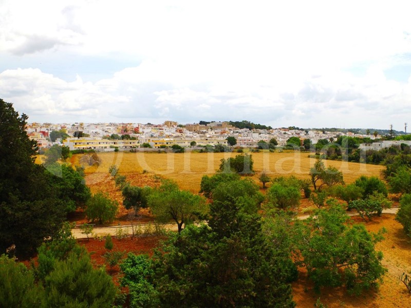 Terreno agricolo in Vendita a Sannicola, 95'000€, 28000 m²