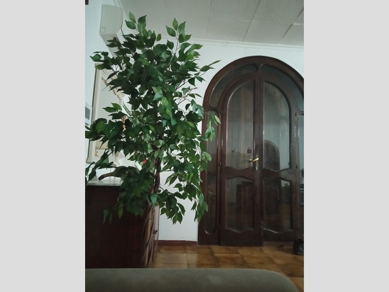 Villa in Vendita a Lecce, zona Villaggio Dario, 125'000&euro;, 120 m²