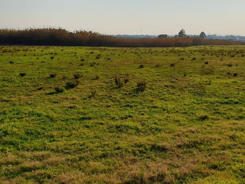 Terreno agricolo in Vendita a Salerno, 230'000&euro;, 20000 m²