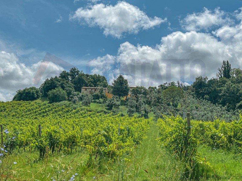 Casa Indipendente in Vendita a Maiolati Spontini, 149'000€, 130 m²