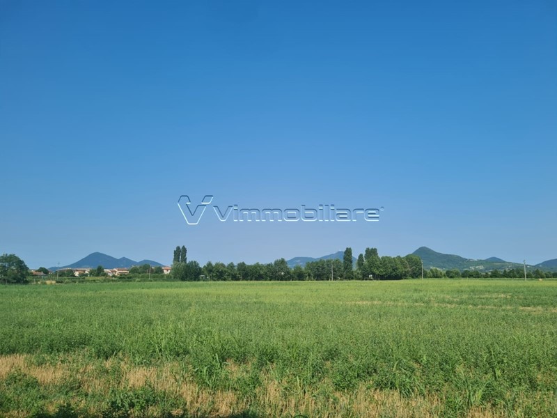 Terreno agricolo in Vendita a Noventa Vicentina, 96'000€, 21795 m²