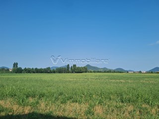 Terreno agricolo in Vendita a Noventa Vicentina, 96'000€, 21795 m²