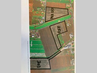 Terreno agricolo in Vendita a Latina, 50'000€, 45.000