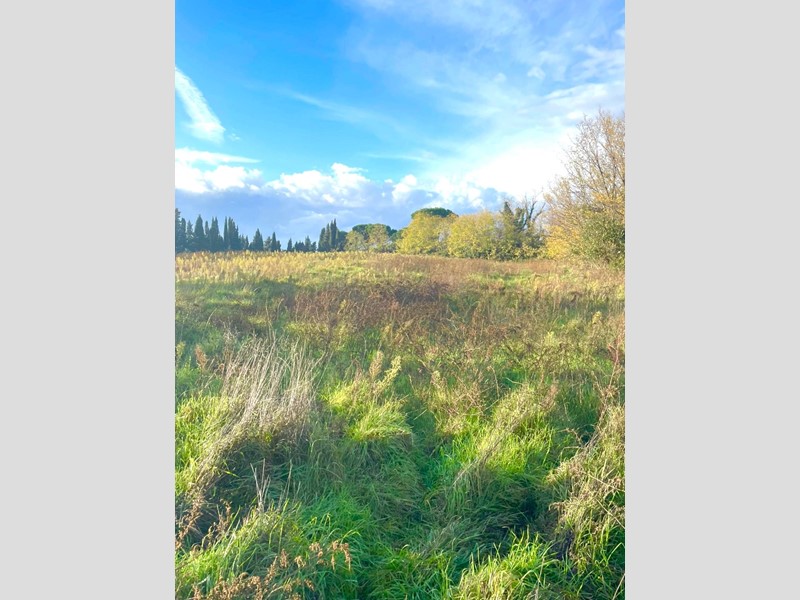 Terreno agricolo in Vendita a Fauglia, 58'000€, 22000 m²