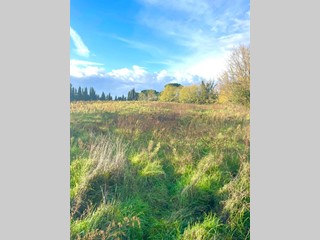 Terreno agricolo in Vendita a Fauglia, 58'000€, 22000 m²