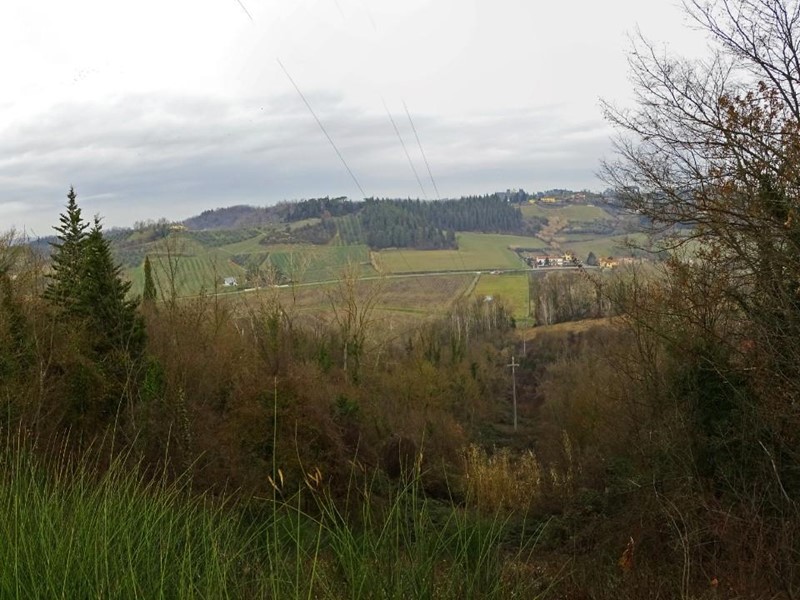 Terreno agricolo in Vendita a San Miniato, zona Moriolo, 150'000€, 130000 m²