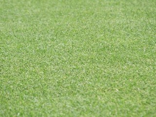 Terreno industriale in Vendita a San Miniato, 130'000€, 1200 m²