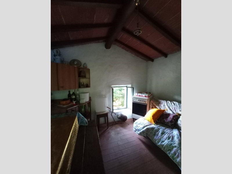Terreno agricolo in Vendita a Capannori, zona Vorno, 30'000€, 3940 m²