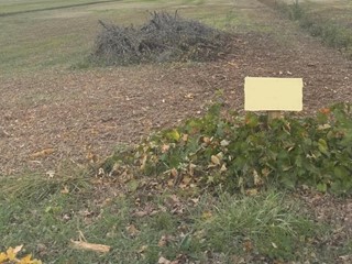 Terreno edificabile in Vendita a Porcari, 70'000€, 750 m²