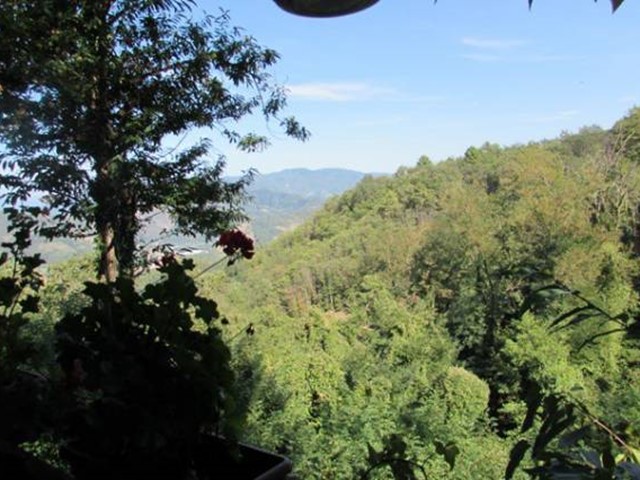 Immobile commerciale in Vendita a Borgo a Mozzano, zona Valdottavo, 1'500'000€, 550 m²