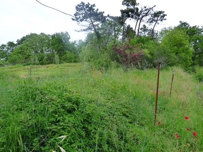 Casa Indipendente in Vendita a Lucca, zona San Macario In Piano, 150'000€, 90 m², con Box