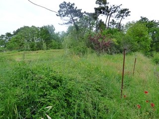 Casa Indipendente in Vendita a Lucca, zona San Macario In Piano, 150'000€, 90 m², con Box