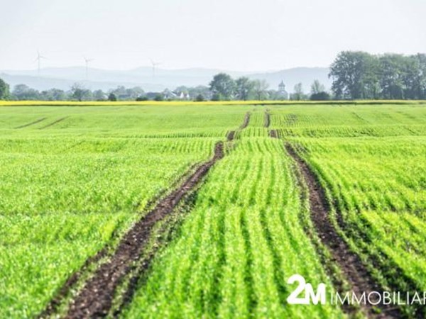 Terreno agricolo in Vendita a San Giuliano Terme, zona Arena Metato, 420'000€, 120000 m²